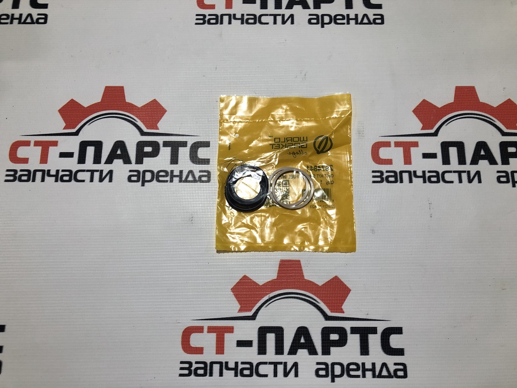 Фото Набор колец форсунки 297-4841 (WG) артикул 297-4841 купить