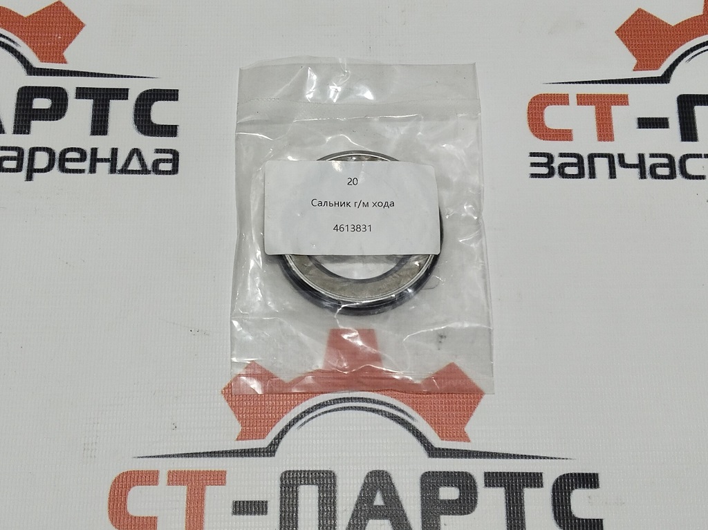 Сальник 4613831-PN