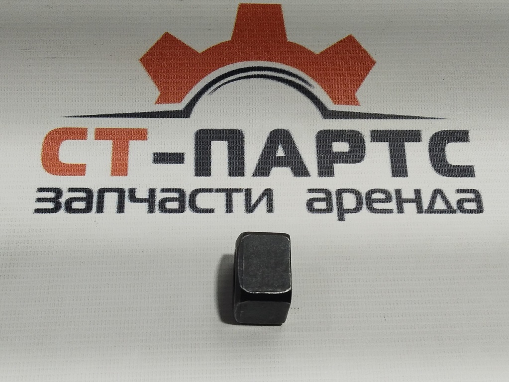 Фото Гайка башмачная М20 4255638-BT артикул 4255638 купить